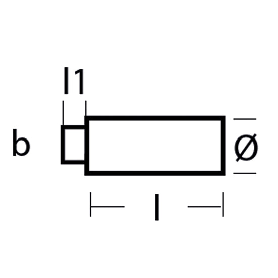 Tecnoseal motorzink løs anode zink Lombardini: til 1141762
