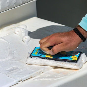 Star brite svamp, Medium