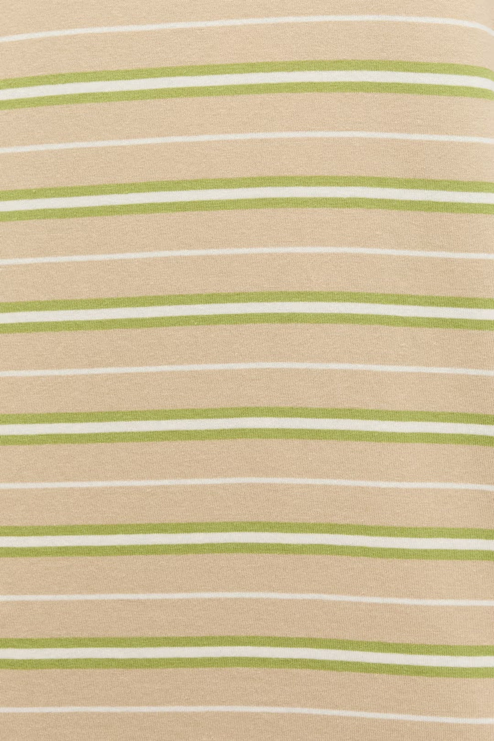 Envii Enkulla LS Stripe Pale Fern Stripe