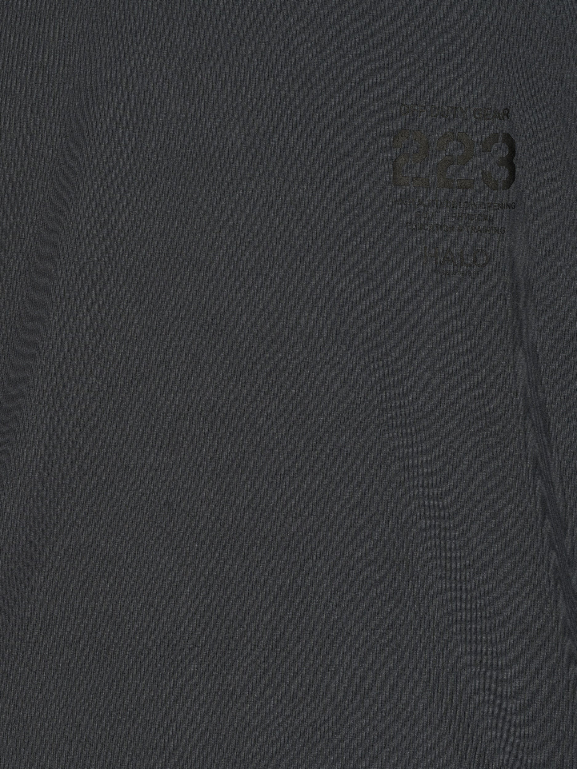 Halo Graphic Boxy T-Shirt Asphalt/Black