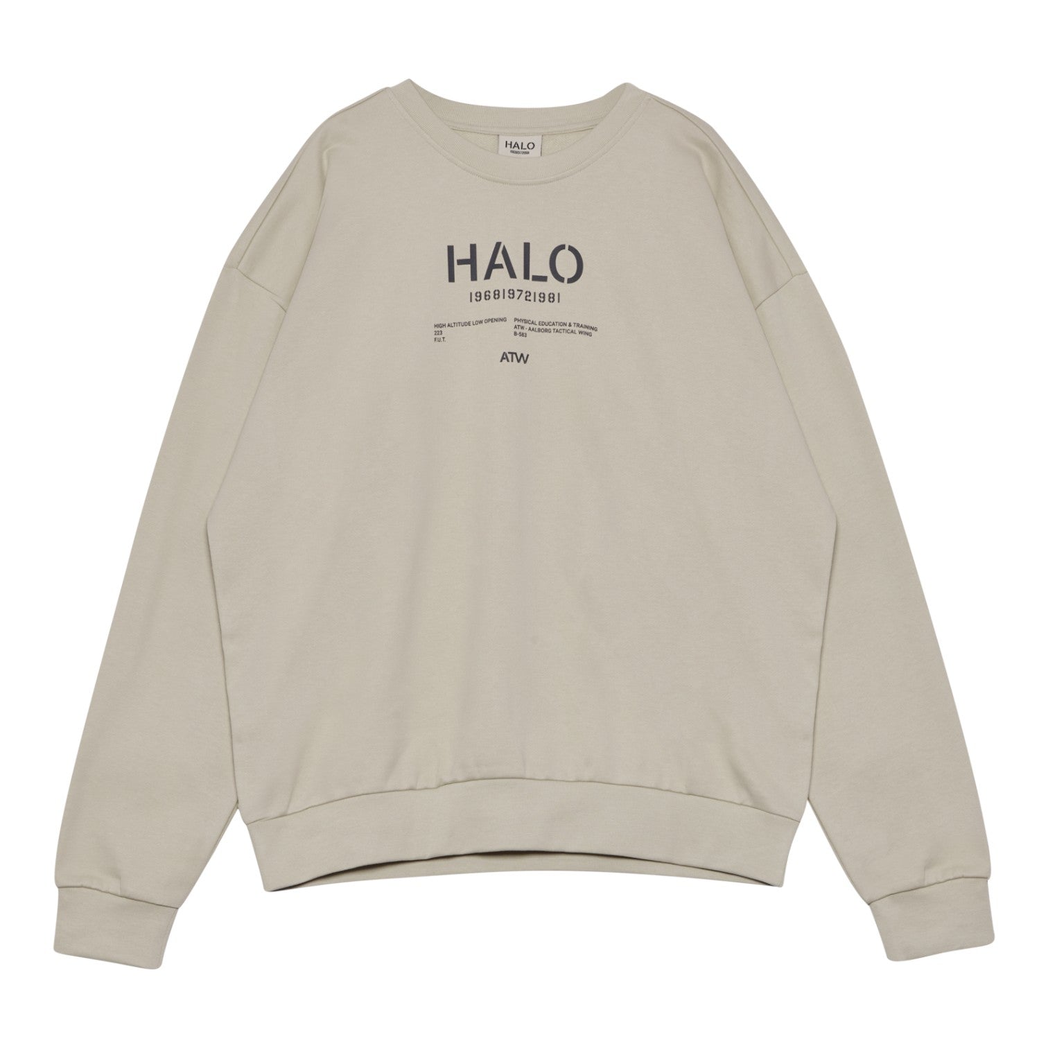 Halo Graphic Boxy Crew Oyster Gray