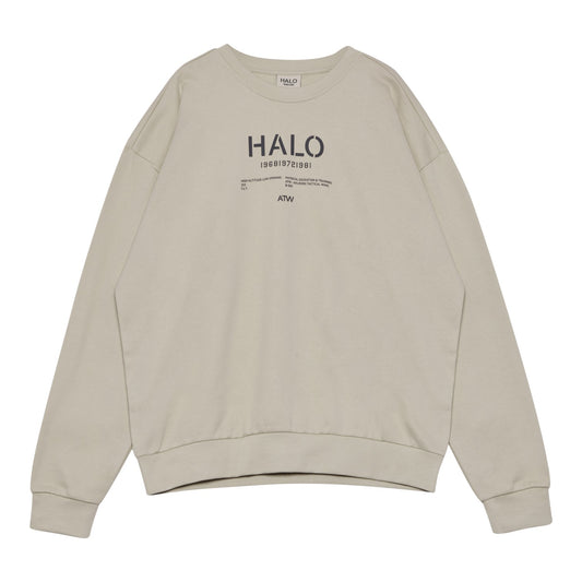 Halo Graphic Boxy Crew Oyster Gray