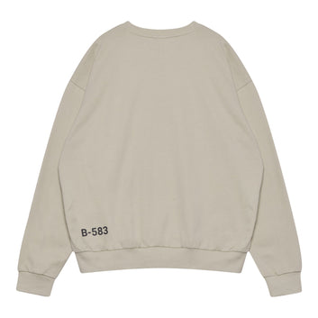 Halo Graphic Boxy Crew Oyster Gray