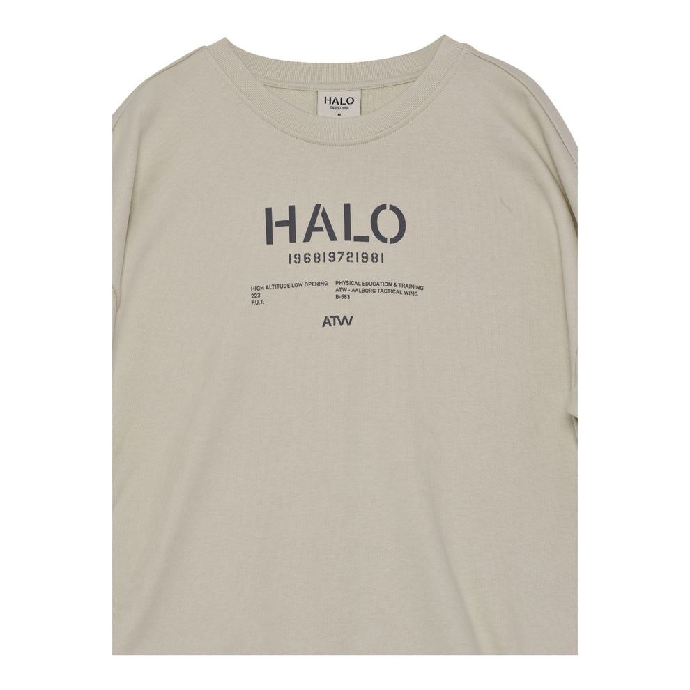 Halo Graphic Boxy Crew Oyster Gray