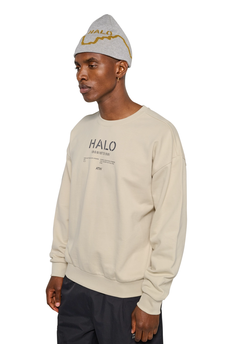 Halo Graphic Boxy Crew Oyster Gray