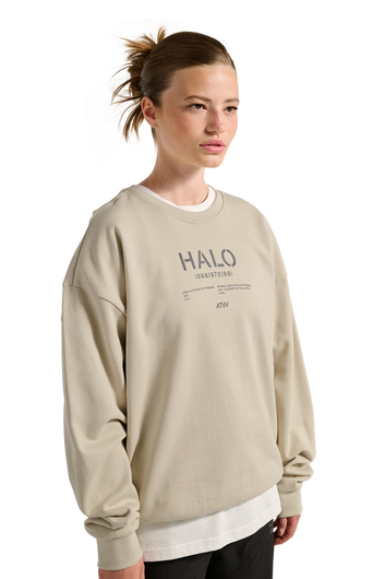 Halo Graphic Boxy Crew Oyster Gray