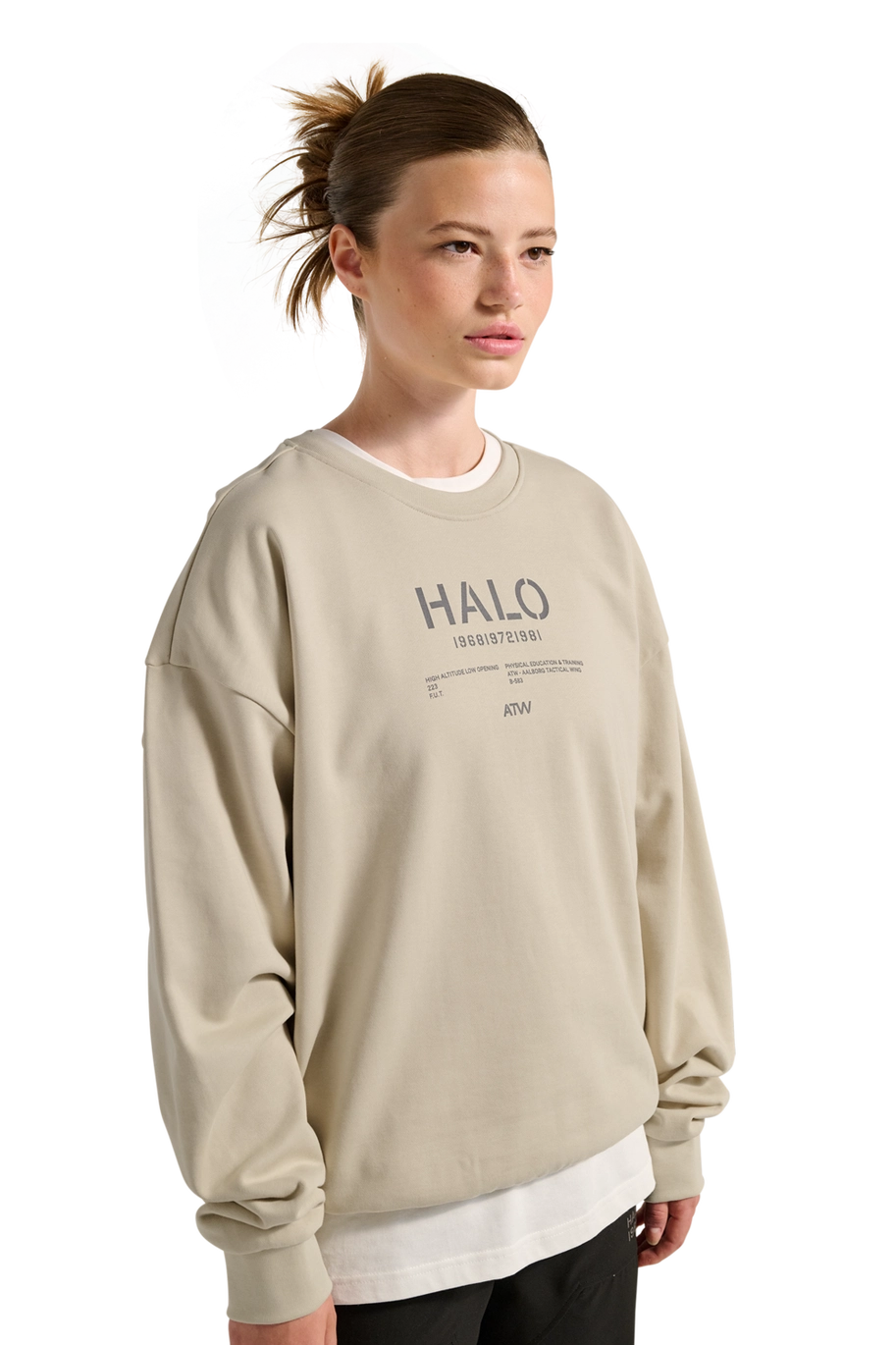 Halo Graphic Boxy Crew Oyster Gray