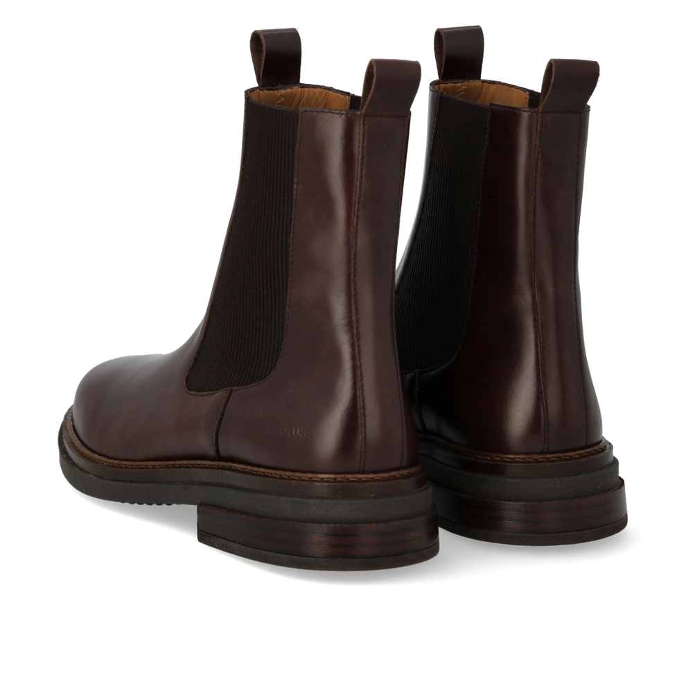 Angulus W Boot With Elastic Dark Brown