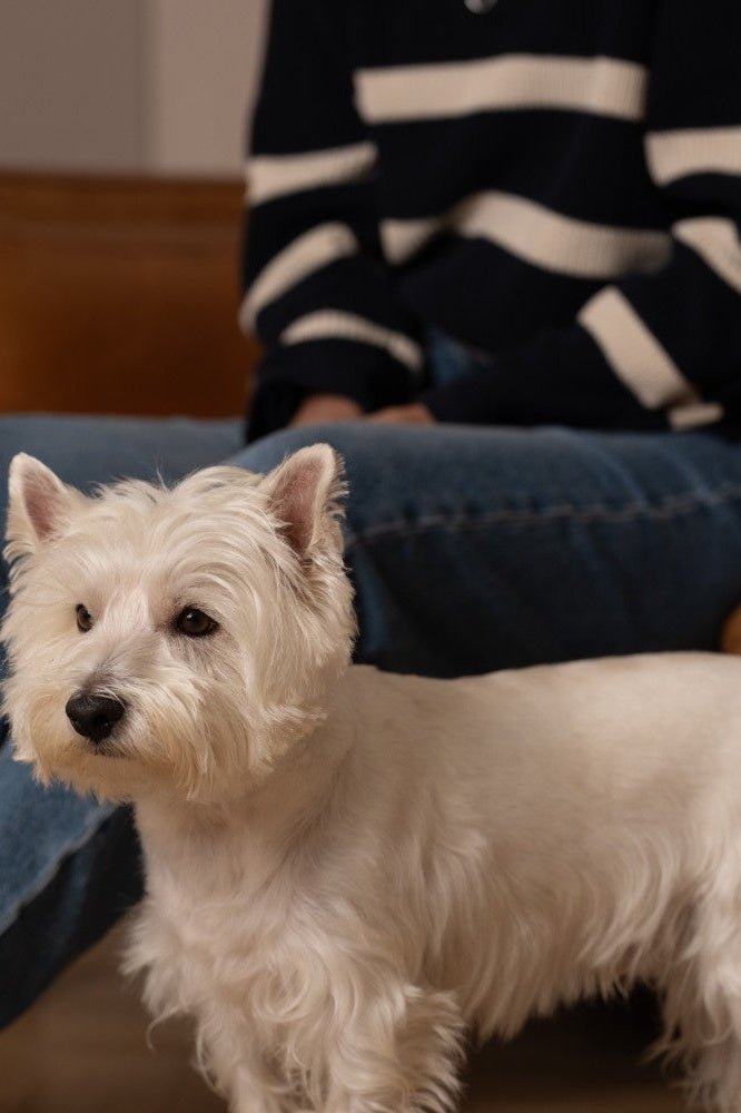 Kopenhaken Vera Ladies Knit Navy