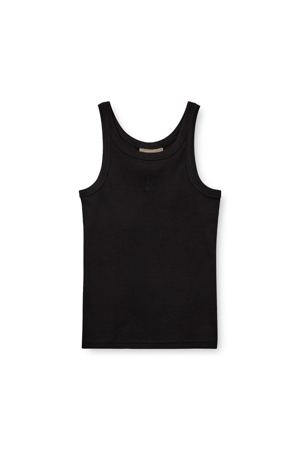 Kopenhaken Siena top Meteorite