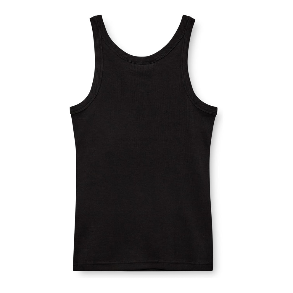 Kopenhaken Siena top Meteorite