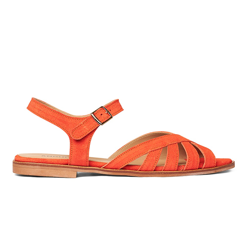 Angulus W Klassisk Remsandal Coral