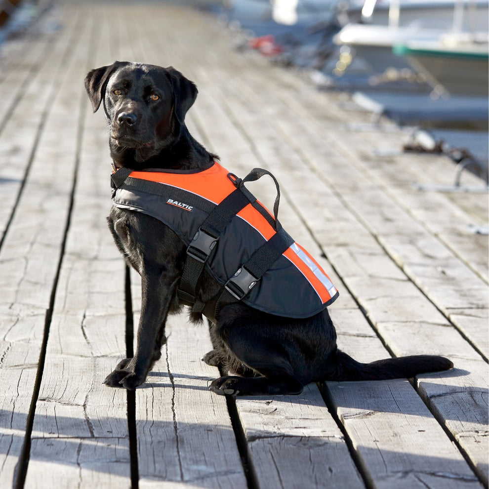 Baltic Mascot Hundevest