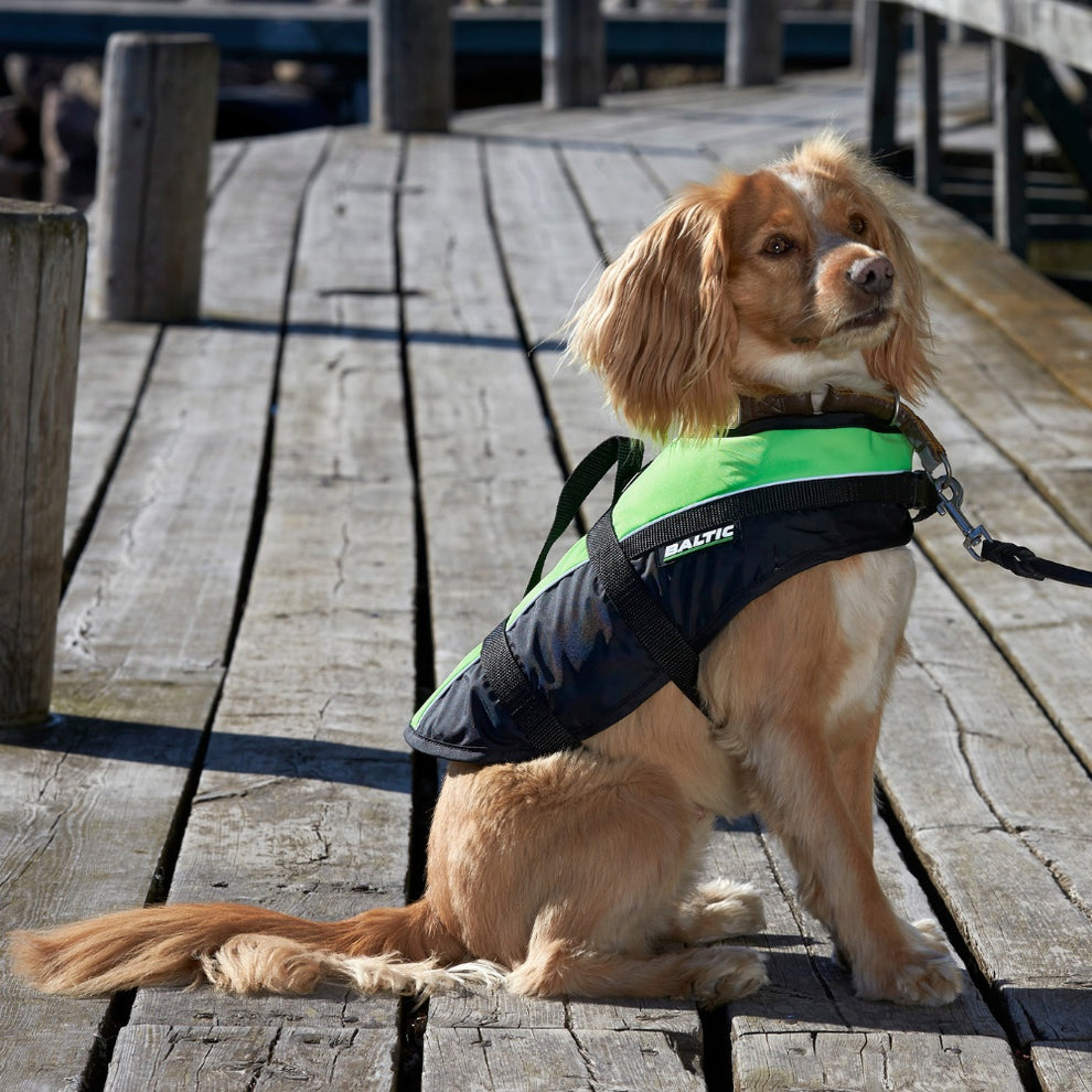 Baltic Mascot Hundevest