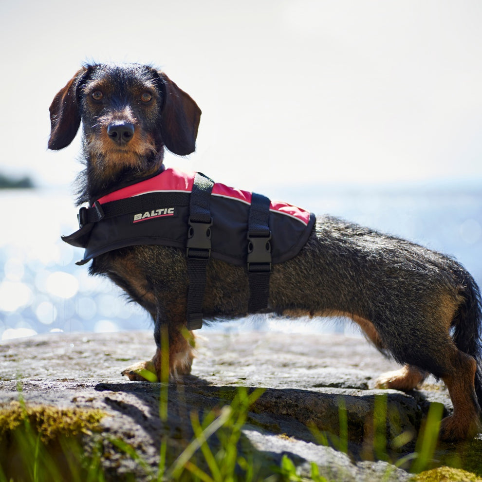 Baltic Mascot Hundevest