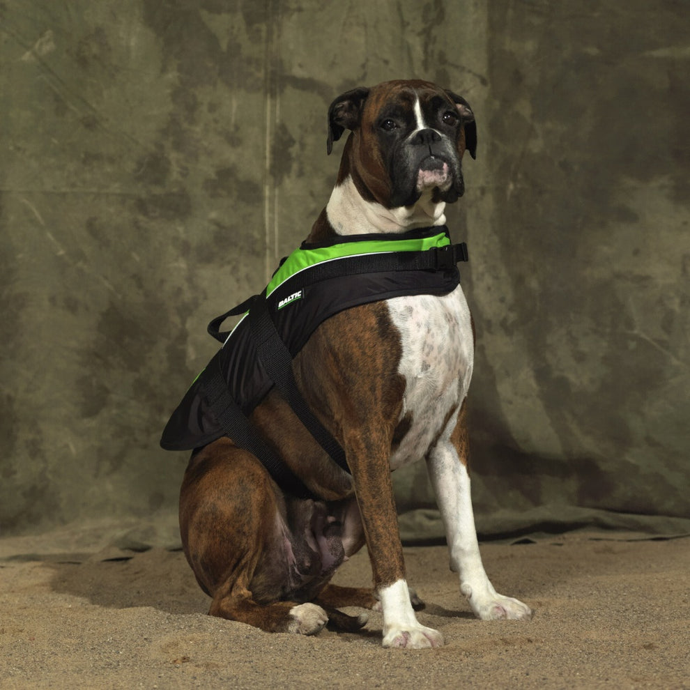 Baltic Mascot Hundevest