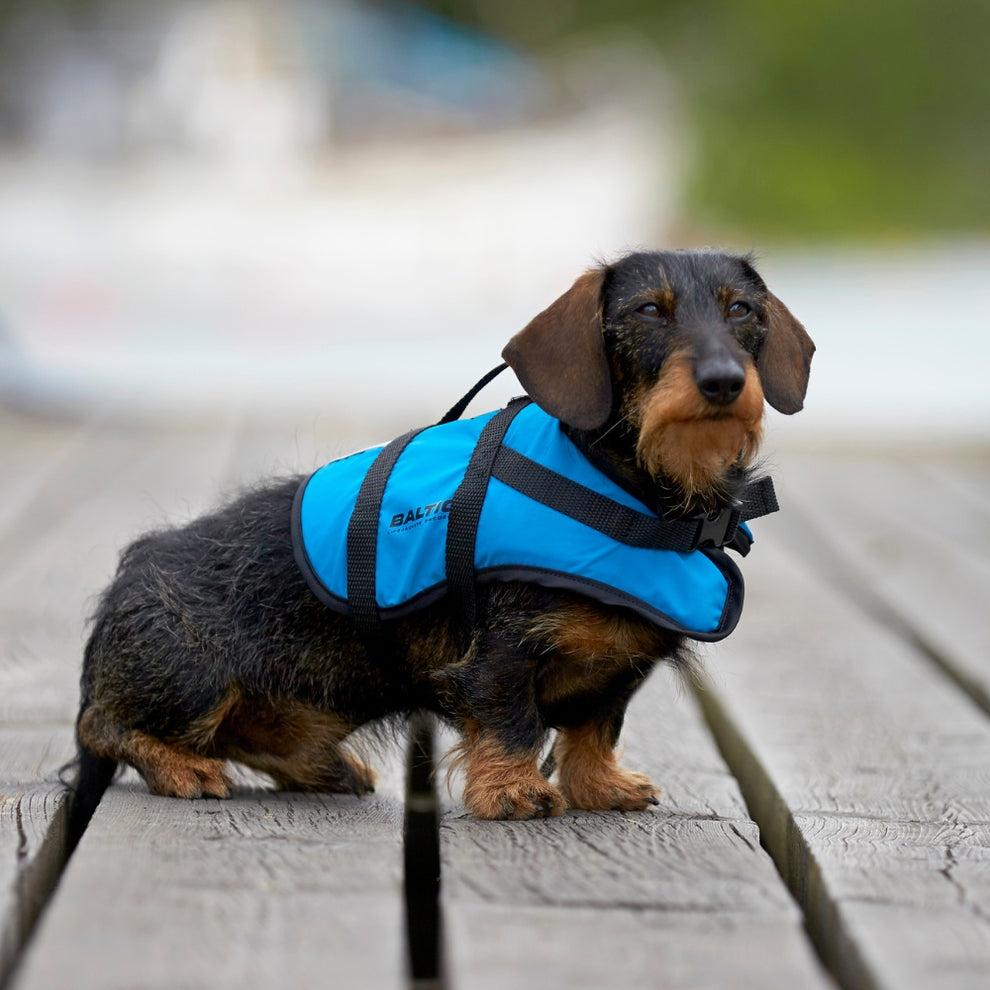 Baltic Pluto Hundevest