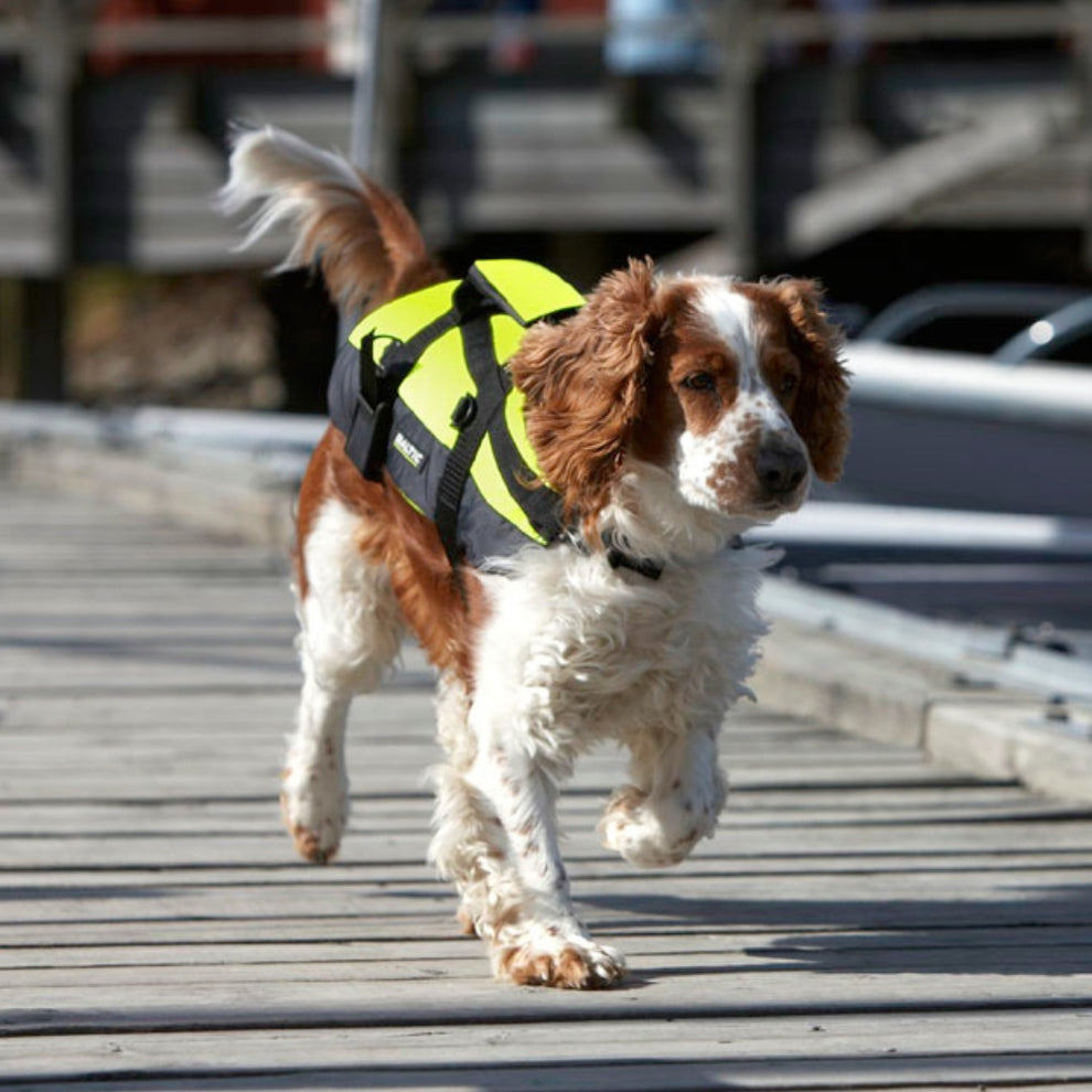 Baltic Professionel Hundevest Gul / Sort