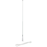 AM/FM antenne