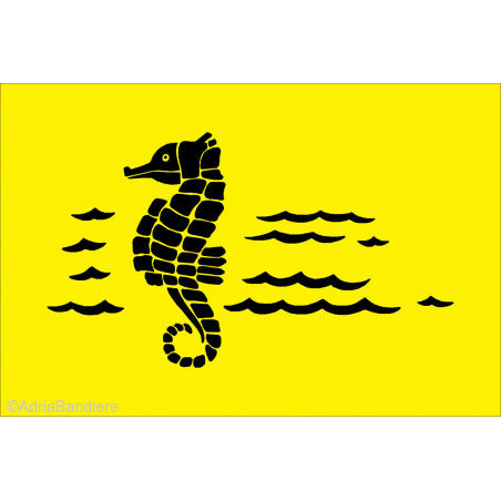 Funflag 45 x 30 cm